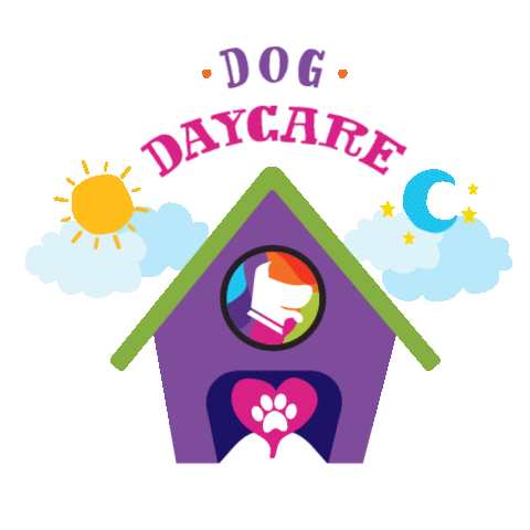 Urban-Woof-Dog-Day-Care